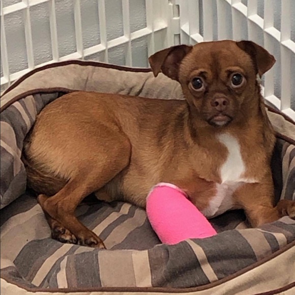 Hello! Thank you for visiting our closet! - Picture 4 of 10